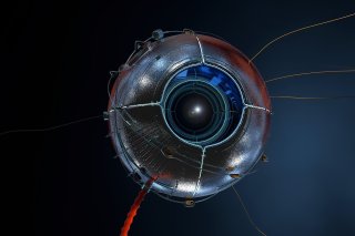 oeil camera.jpg